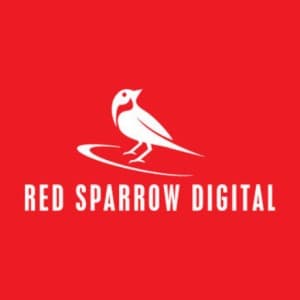 Junior SEO Executive