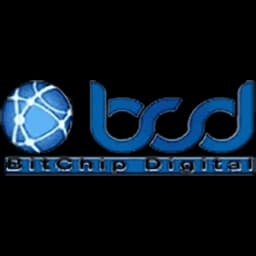 BitChip Digital