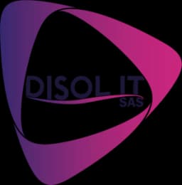 Disol IT logo