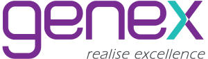 Sr. Executive - IT