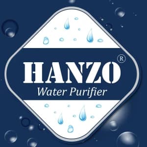 HANZO INTERNATIONAL