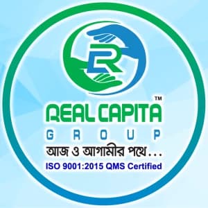 Real Capita Group logo