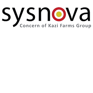 Sysnova Information Systems logo