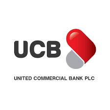 Business Intelligence & Analytics Officer (JO to SEO)