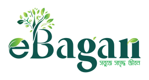 BAGAN GROUP