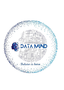 Data Mind Ltd