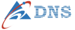 DNS Group Logo