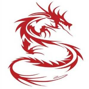 Dragon Securities Ltd.