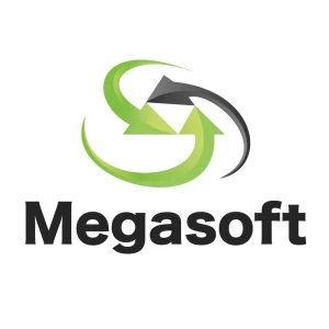 Dynamic Megasoft Limited