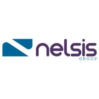 Nelsis Group Logo