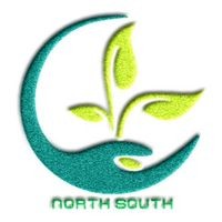 Northsouth Group