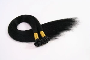 SOPTORSHI INTERNATIONAL