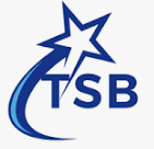 TechSoldier BPO Logo