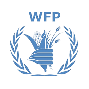 United Nations World Food Programme (WFP) Logo