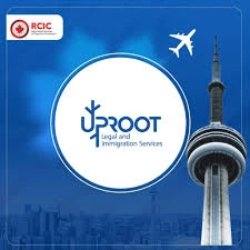 Uproot Legal and Immigration services