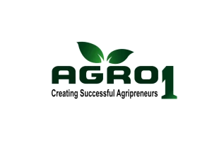 Agro1 Global Limited