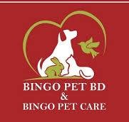 Bingo Pet Care