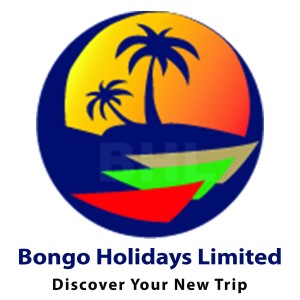 Bongo Holiday