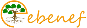 eBenef Ltd.