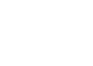 Reverie Design
