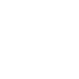 Sandra Foods International Ltd.
